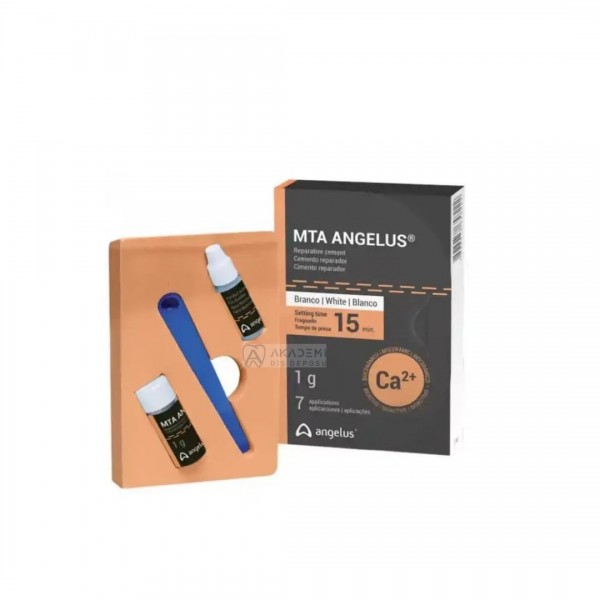 Angelus MTA Kanal Dolgu Materyali 7 Uygulamalık